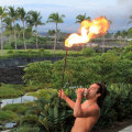 Which luau is better germaines or paradise cove?